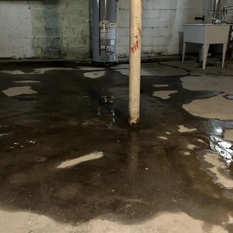 Emergency Water Extraction And Removal in West Haven, OR